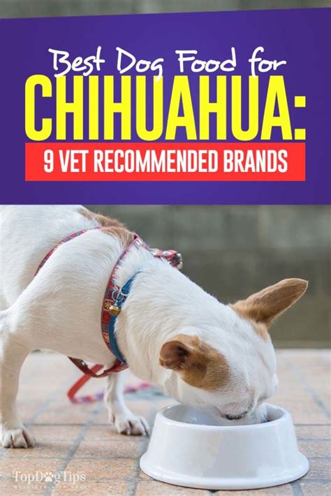 Best dog food for chihuahua. Things To Know About Best dog food for chihuahua. 